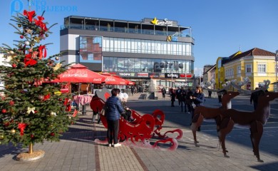 Dobre vijesti za ljubitelje životinja: Umjesto vatrometa Grad Prijedor nabavlja hranilice za pse i mačke
