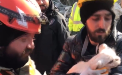 Više od 100 sati bila pod ruševinama: Žena spasena zahvaljujući lavežu psa (VIDEO)