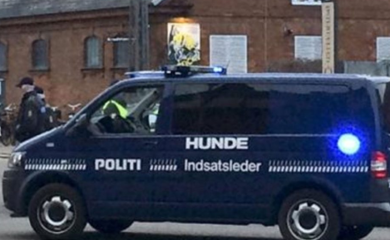 Dvojica mladića srpske nacionalnosti ubijeni u Danskoj