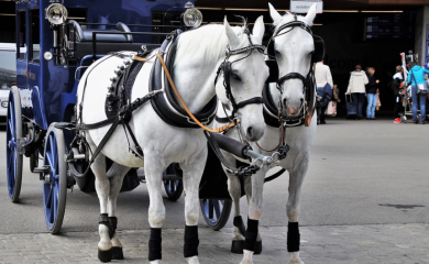 Ni Cristiano Ronaldo, ni Lionel Messi: Pogledajte ko je najbogatiji sportista svih vremena