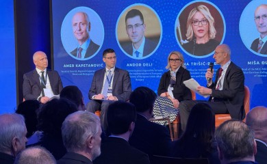 Trišić Babić: Uzrok svih političkih problema u BiH su OHR i Šmit