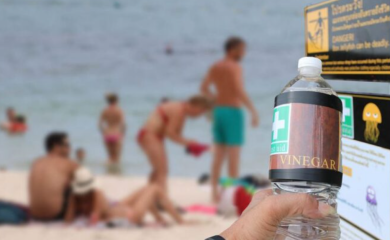Turisti masovno počeli da ga nose na plažu: Pomama za jabukovim sirćetom u Hrvatskoj