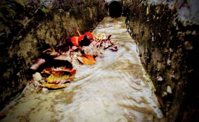 U toku sakupljanje lišća sa pješačkih staza u Banjoj Luci