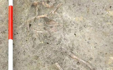 U Hrvatskoj pronađene kosti djeteta sahranjenog prije više od 6500 godina