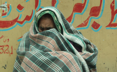 48 sati pakla u Zemun polju: Sin se iživljavao nad svojom majkom