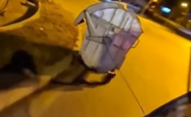 U BiH nema čega nema: Zarad lajkova na internetu čine razne gluposti (VIDEO)