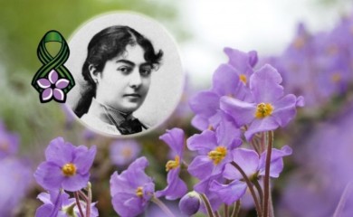 Dan primirja u Prvom svjetskom ratu: Šta je Natalijina ramonda