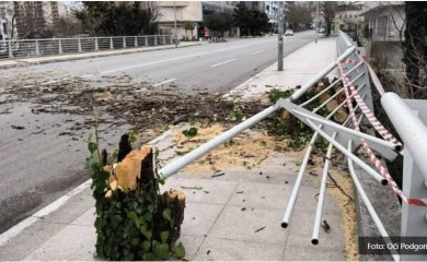 HAOS U PODGORICI Jak vjetar obara stabla, građani upozoreni da do srijede NE IZLAZE IZ DOMOVA