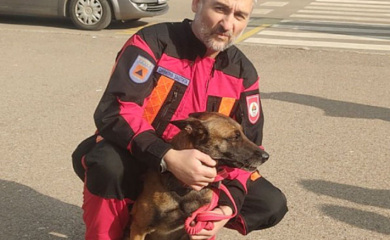 Pas tragač Tora dobio pohvale AFAD-a