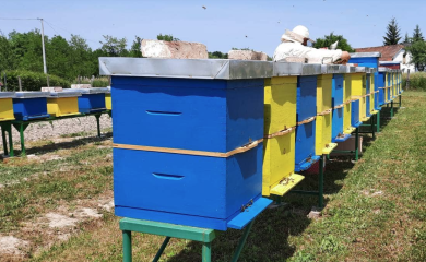 Za pčelare u Srpskoj više para: Očekuju rekordne podsticaje u ovoj godini