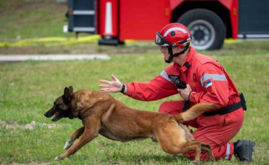 Zigi pas heroj: Nanjušio živu osobu ispod ruševina, počela akcija izvlačenja (FOTO)