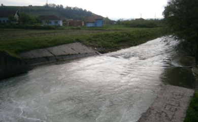 Utopio se u Blihi pokušavajući spasiti svoga psa