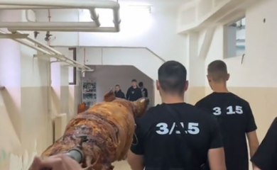 Donijeli pečeno prase u školu "da poprave ocjene" (VIDEO)