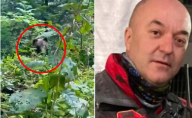 Načelnik GSS-a iz Foče oči u oči sa medvjedom: "To je svakodnevica" (VIDEO)