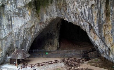 Otkrivena kolektivna grobnica u okolini Valjeva