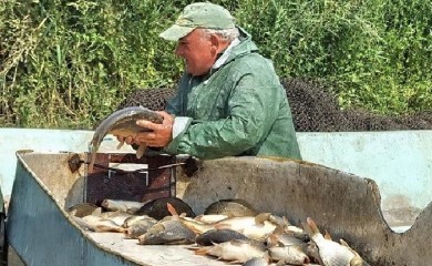 Cijene proizvoda poljoprivrede i ribarstva više za 35,3 odsto