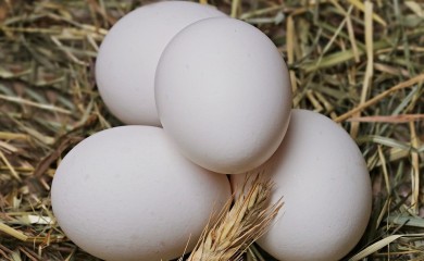 Otvaranje sajma domaćih proizvoda u Banjaluci