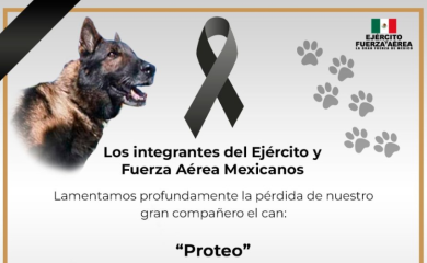 Nastradao pas koji je spasavao ljude u Turskoj: Hvala ti na tvom herojskom radu