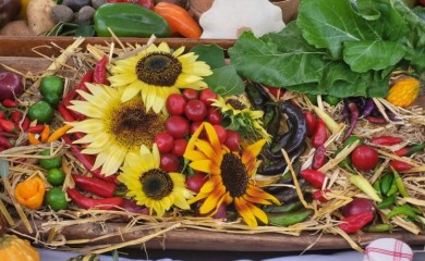 BANJA LUKA: Jesenji festival od 21. do 23. septembra, prijave u toku