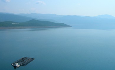 Na pomolu ekološka katastrofa u Bilećkom jezeru?