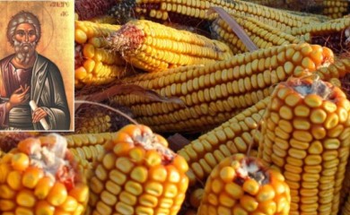 Danas Sveti Andrej Prvozvani: Evo šta je zabranjeno raditi