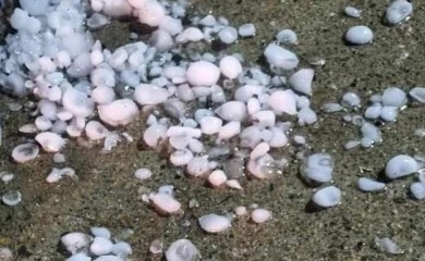 Grad uništio usjeve u selima na području Gradiške i Laktaša