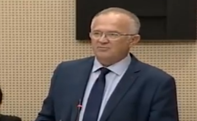 Dragan Čavić smatra da Njemačka favorizuje BiH