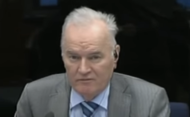 Rusija: Osloboditi Mladića iz humanih razloga