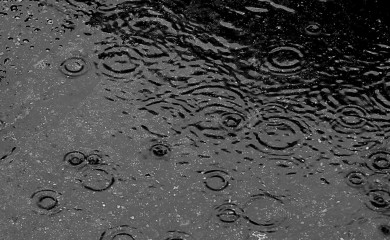 Naredna tri dana oblačno sa kišom