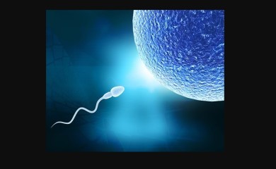 Broj spermatozoida u konstantnom padu – prijeti li čovječanstvu reproduktivna kriza