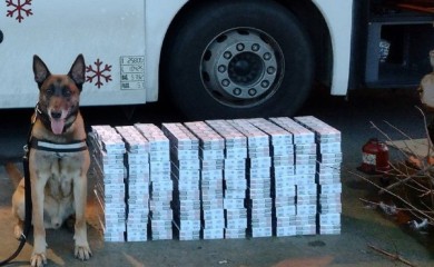 Pas nanjušio 50.000 cigareta u autobusu (FOTO)