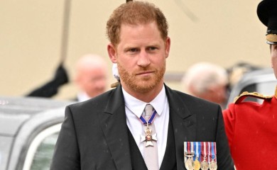 Hari tuži britanske vlasti jer mu nije dozvoljeno da plati svoje obezbjeđenje