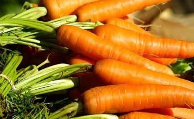 Republički inspektorat zabranio uvoz 19.000 kilograma mrkve zbog pesticida