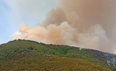 Požari i dalje aktivni u Herceg Novom, Ulcinju, Nikšiću, Baru i Kotoru