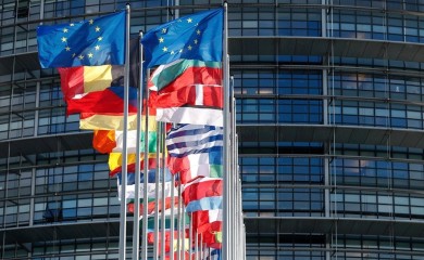 Pet "glasačkih plemena" u trci za Evropski parlament