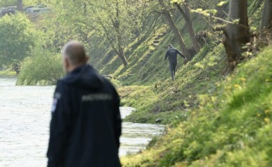 Sječa pa "peglanje" - smijenjen nadzor, slijedi sadnja 50 novih vrba