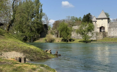 Grad priznaje propust zbog sječe stabala, "Vode Srpske" negiraju saglasnost