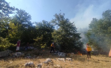 Nevesinje: Vatrogasci na Morinama brane kolibe sa stokom