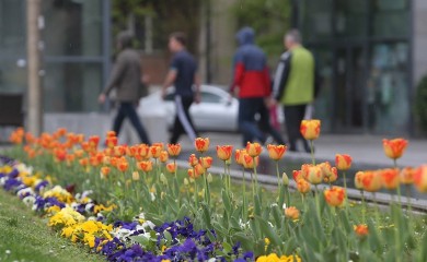 Prvi put u Banjoj Luci biće priređen Jesenji festival cvijeća i plodova