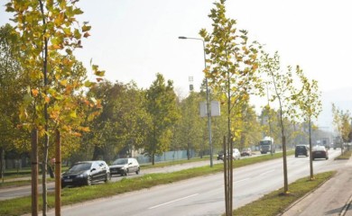 Počinje jesenja sadnja u Banjoj Luci