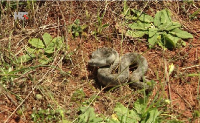 SARAJEVO: Uočen poskok kod dječijeg parka