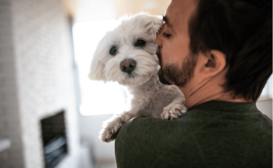 Najbolje rase pasa koje možete držati u stanu