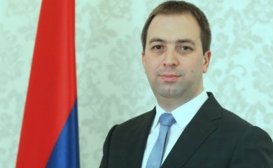 SELAK: Zakonom dodatno urediti i propisati isticanje srpske trobojke