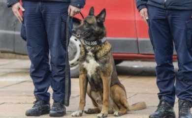 Pomogao spasiocima u Turskoj: Zigi zaslužno ide u penziju