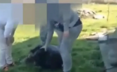 Članovi udruženja "Panter" pretukli Fahrudina koji je sjekirom navodno usmrtio psa?