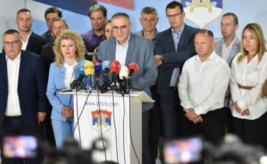Koliko je stranaka nastalo iz SDS-a?