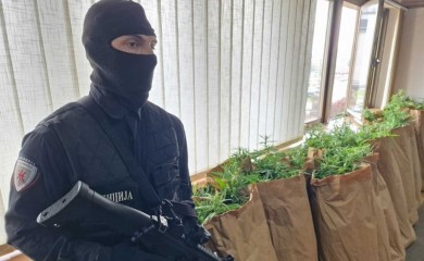 Zaplijenjeno 172 kilograma droge u Loparama