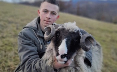 Studira i bavi se stočarstvom