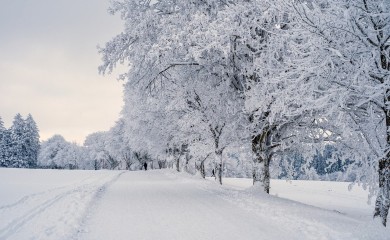 Moskvu pogodila snažna snježna oluja