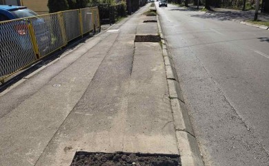 Uklonjen još jedan drvored: posječena stabla u banjalučkom naselju Nova varoš (VIDEO)
